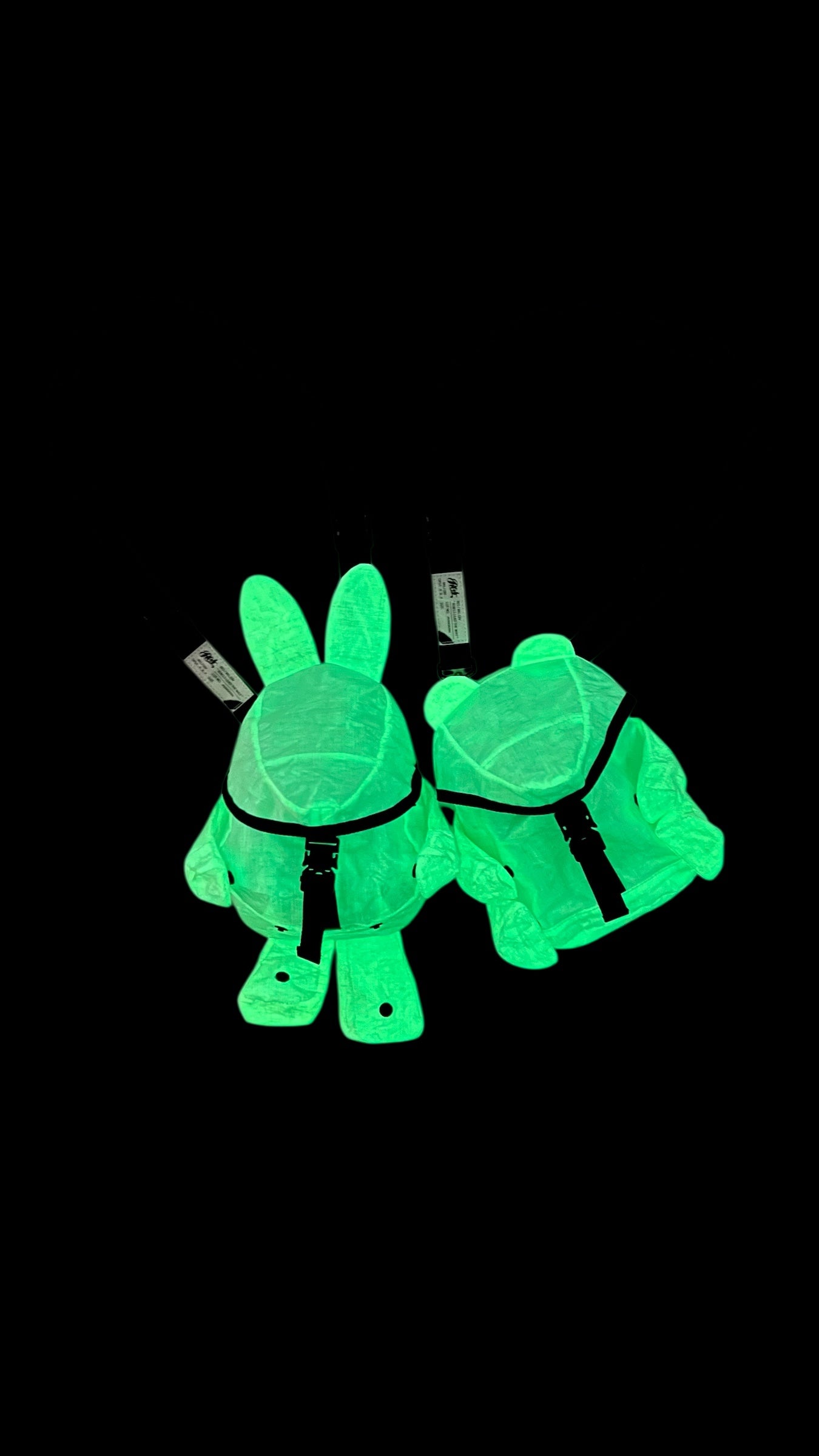 RABBIT POUCH REF & GLOW